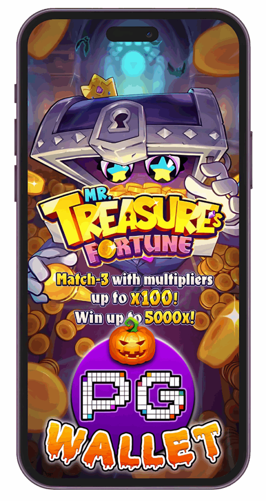 PG WALLET MR.TREASURE'S FORTUNE